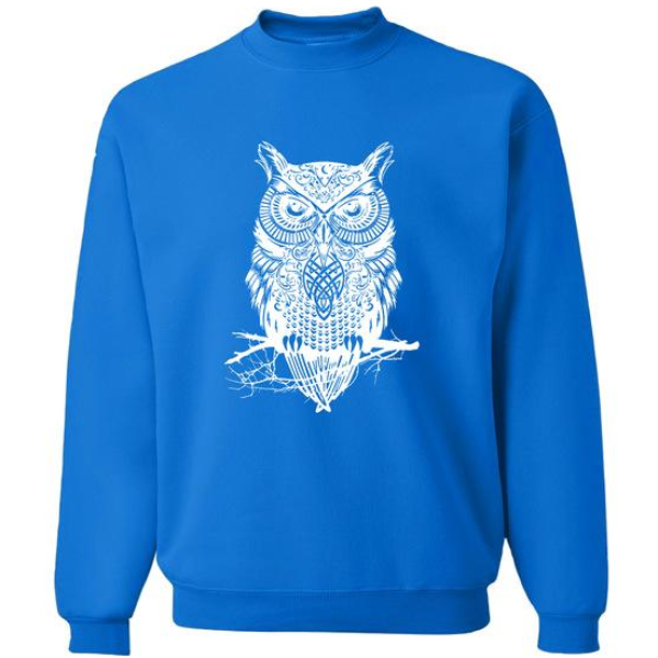 Cool Owl Sweatshirt